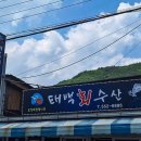 태백회수산 이미지