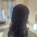 안나헤어 | [대전 관저동 미용실] 헤어컨설팅 전문 by안나헤어 방문후기!