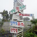 제주여기쯤