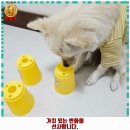 안독(Andog) 이미지