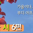 가을 시 모음 6편 ---나태주외--- 이미지