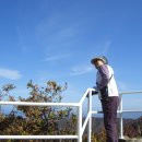 양재목장 이미지