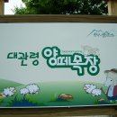 왕성목장 이미지