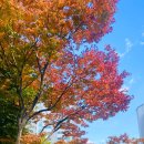 팔판 태권도장 이미지