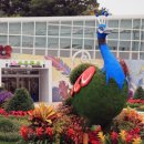 버드랜드 이미지