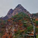 신흥사 이미지