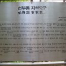 선부동 지석묘군 이미지