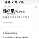 용원동물병원 이미지