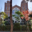 세류농장 티스토리