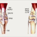 더본 동물병원 이미지