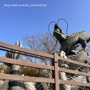 일본인학교 | [포항]1일차_구룡포 일본인 가옥 거리