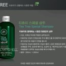 티츄리 이미지