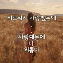 5천원 인생과 5억원 인생(명품 가방 짝퉁 가방의 차이) 이미지