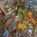 속초 중앙시장 반건조 오징어 송가네건어물 추천 온누리상품권 환급 행사 꿀팁