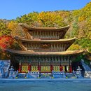 사인암주유소 Daum카페