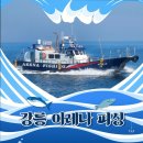 아레나호