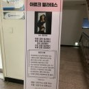 아르크필라테스 | 신설동 개인전문 레슨 아르크 필라테스 찐후기
