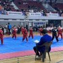 올림픽태권도&줄넘기 이미지