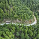 남해-175 이미지