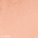 단델리온 이미지