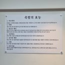 2014화정족발