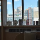 강남역 성형외과 코실리프팅 내돈내산 엘라스티 브이업 코 PCL 후기