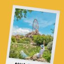 베트남 나트랑 빈펄리조트 🎆 빈원더스, 빈펄랜드 패키지 추천
