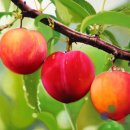 공간유희 이미지