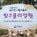 익산 신흥근린공원. 갤럭시와이드5. 2023. 4. 26. 수요일. 이미지