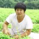 임동혁농장 티스토리