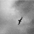 경북 우수작가 초대전 이미지