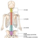 디데이핏 이미지