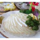 대양복어 이미지