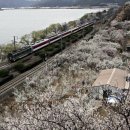 종일농원 이미지