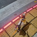 로또애견 용품점 이미지