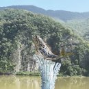 너마늘위한치킨 이미지