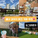 도그라운지 다녀온 날의 이야기 | 남양주 애견카페 후기