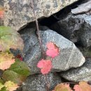 썸원스테이지 이미지