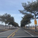 일월관광농원캠핑 이미지