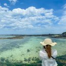 로그맨 하우스 | 첫 날 (곰막식당, 모알보알, 김녕 해수욕장, 청굴물, 복지동 바닷길, 오저여, 사려니숲길, 로그맨하우스)