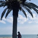 항해진미 이미지