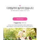 퀸즈헤어 네이버블로그