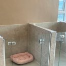 멍's | 수원권선동애견호텔 멍&#39;s스테이 믿고 맡길 수 있었어요