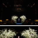 씨유마곡보타닉푸르지오1점 | 강서 웨딩홀 보타닉파크웨딩 오키드홀 본식스냅 후기