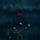 하루와노을 이미지