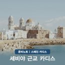 스페인 카디스 세비야 근교 소도시 바다 여행 당일치기 코스 추천