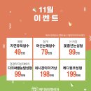 레디성형외과의원 이미지