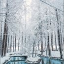 강화 메타포레스트 추천 (주변 명소, 위치, 후기)