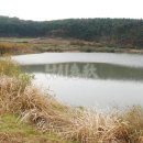 광시면011 이미지