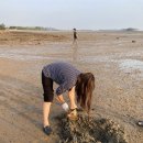 무안 파라다이스 이미지